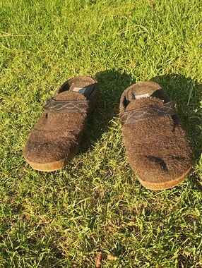 Earth Origins Auora Janet 10M Brown Mahogany Slip-On Wool Comfort Clog B38